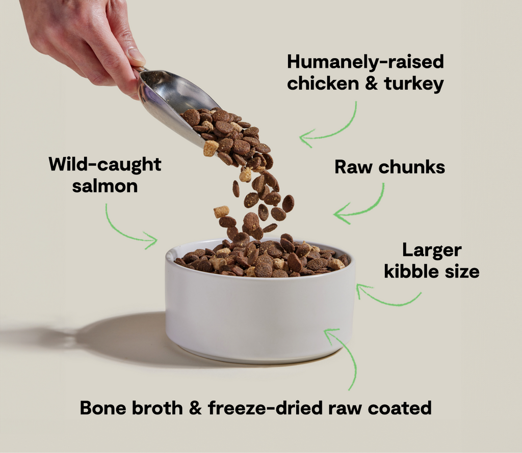 RawMix Large Breed Ancient Grains Dog Kibble