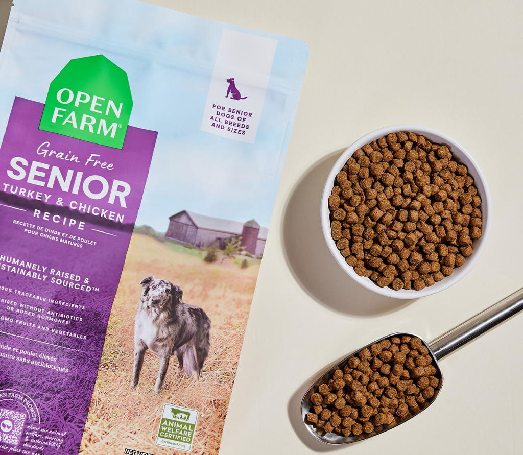 Senior Grain-Free Dog Kibble