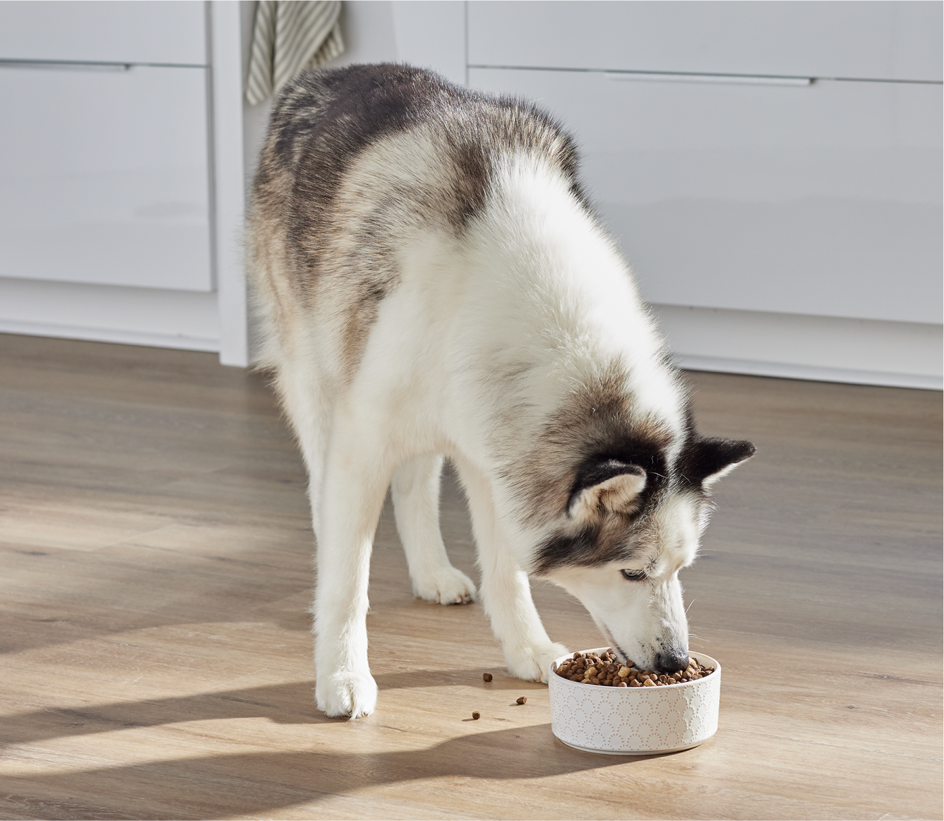 RawMix Open Prairie Ancient Grains Dog Kibble