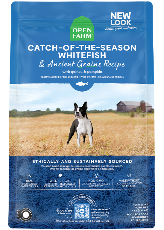 Whitefish & Ancient Grains Dog Kibble